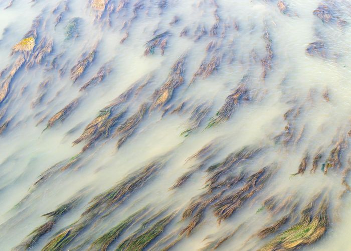 Minimalist nature patterns showing flow and movement